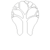 Meraki NY